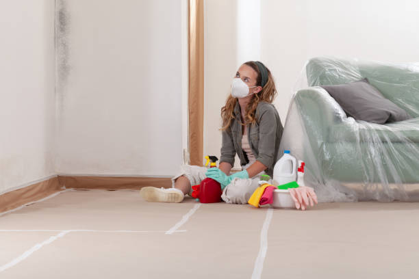 Reliable Mold Remediation contractor in Takoma Park, MD by 24 Hour Mold Removal